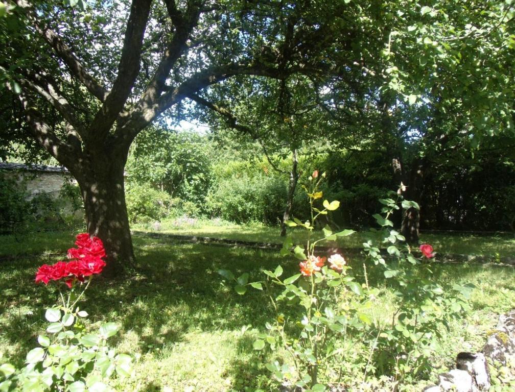 Bed and Breakfast Le Grand Jardin Бон Экстерьер фото